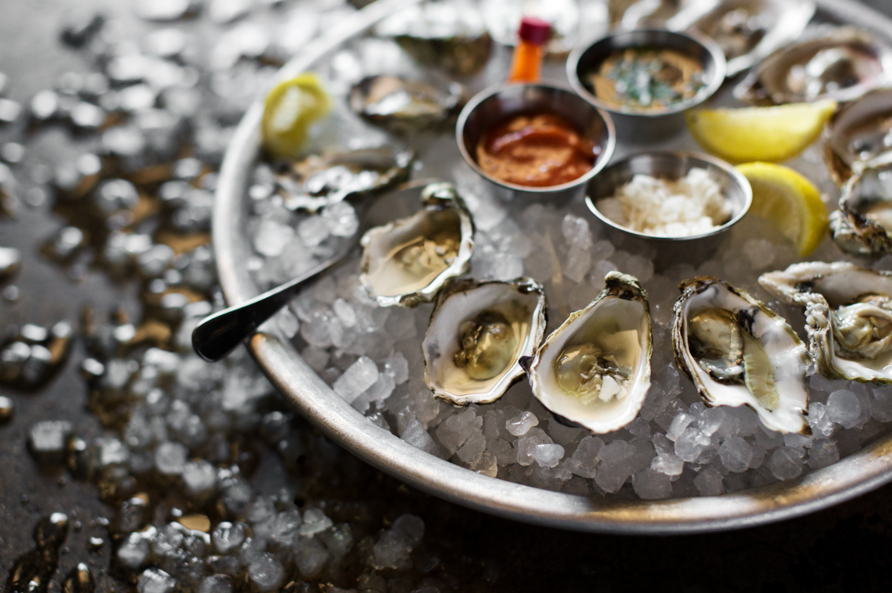 oysters in studio city